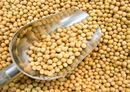 寧波進(jìn)口食品排行榜揭曉 水產(chǎn)品榮登榜首，吃貨最?lèi)?ài)一覽